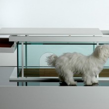 transparent-front-dog_ANTE